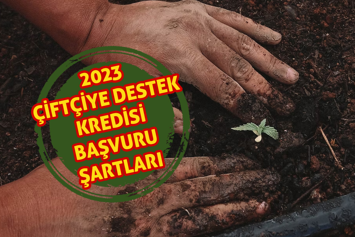 ÇİFTÇİ KREDİSİ BAŞVURU ŞARTLARI 2023 | Çiftçi kredisi başvuru, vade sayısı, faiz oranı kaç?