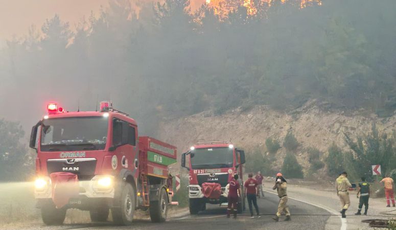 Yangın Kontrol Altına Alındı: 11 Dekar Orman Alanı Zarar Gördü