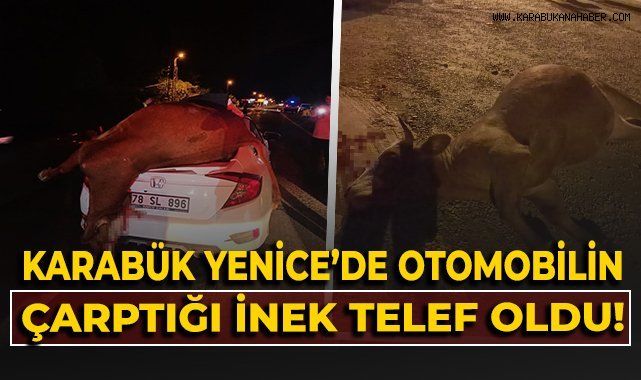 Yenice’de Otomobil Büyükbaş Hayvana Çarptı
