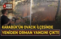 Ovacık’ta Orman Yangını Korkuttu: Havadan ve Karadan Müdahale!