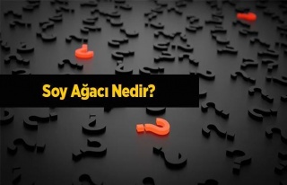 Soy Ağacı Nedir? Soy Ağacında Kimler Bulunur?