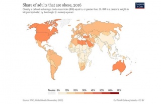 Dünyanın en obez ülkeleri belli oldu! İşte en...