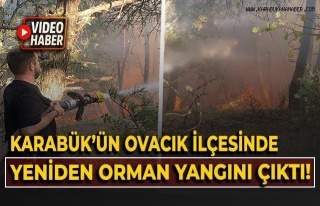 Ovacık’ta Orman Yangını Korkuttu: Havadan ve...