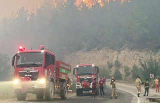 Yangın Kontrol Altına Alındı: 11 Dekar Orman Alanı...