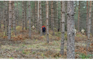 Kastamonu'da Acı Haber: Kayıp 5 Yaşındaki...
