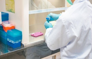 Kolesterolde Çığır Açan CRISPR Tedavisi: Kim...