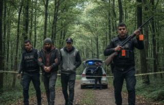 Beykoz’da korku dolu anlar: Ormana ateş açanlar...