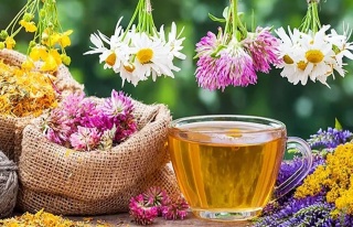 Doğadan'ın 50. Yılı Vizyonu: İhracat, İnovasyon...