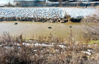 Şanlıurfa Harran’da Kar Kazası: Kayıp Sürücü Halil Gündüz İçin Arama Çalışmaları Sürüyor